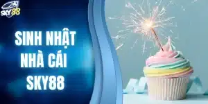 sinh nhật nhà cái SKY88
