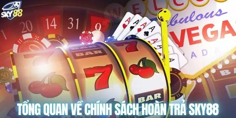 Tổng quan về chính sách hoàn trả SKY88